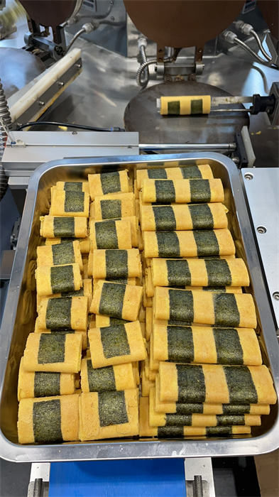 How should the fully automatic Phoenix coiling machine be maintained?